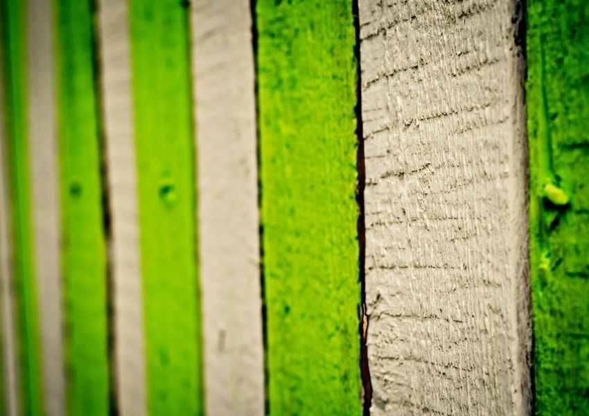 Fence Painting Service